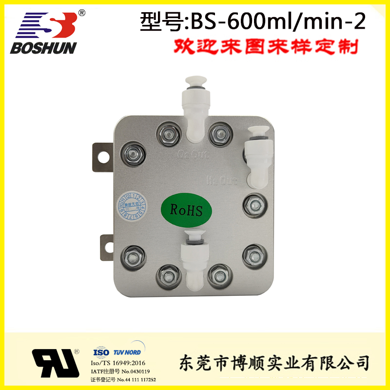 BS-600ml/min PEM水電解雙出