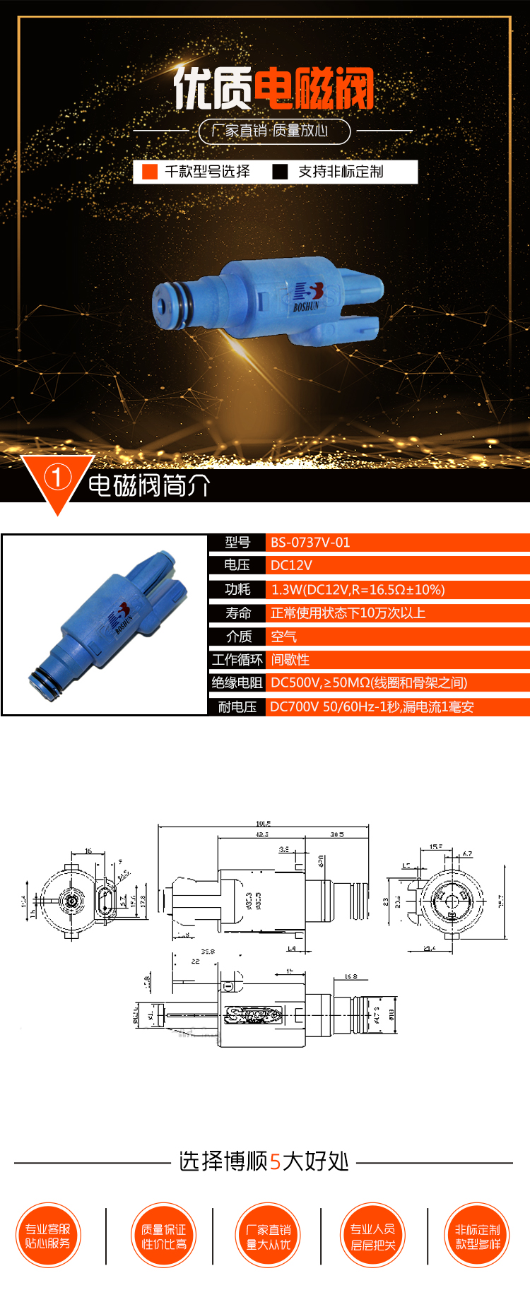 噴油嘴電磁閥 BS-0737V-01